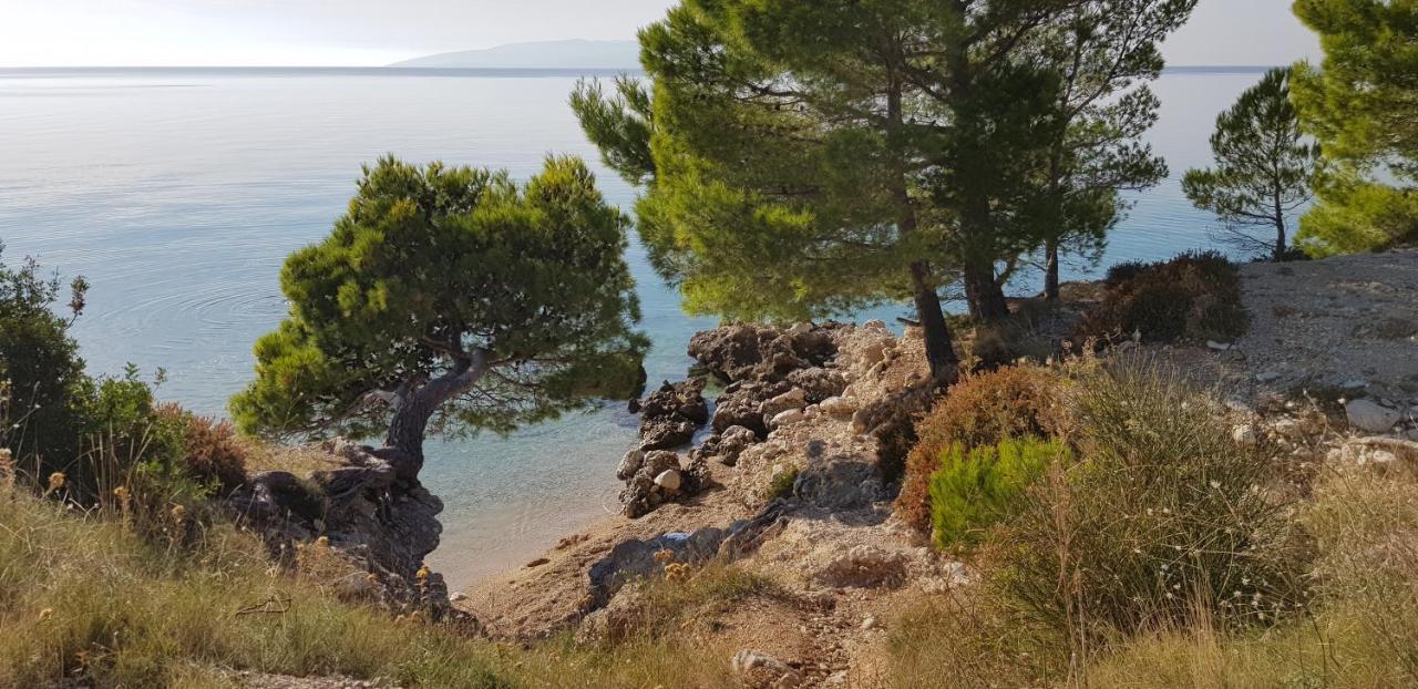 Holiday Home Makarska Eksteriør bilde
